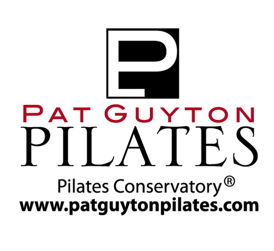 パット・ガイトン　ワークショップツアー　詳細情報 (Pat Guyton First Workshop Tour 2015)